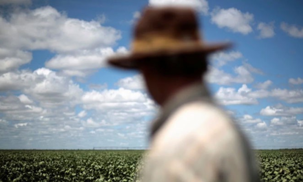 Người nông dân trên một cánh đồng đậu tương ở Brazil vào năm 2014 - Ảnh: Reuters/SCMP.