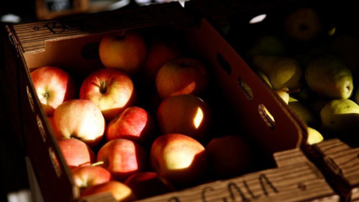 Táo Gala bày bán tại một quầy hàng ở bang Washington, Mỹ, hôm 2/9 - Ảnh: Reuters.