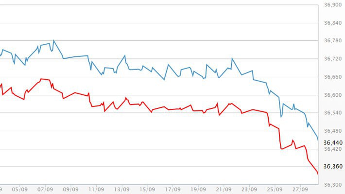 Diễn biến giá vàng SJC tại DOJI - Nguồn: DOJI.