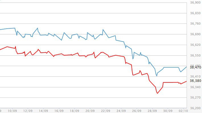 Diễn biến giá vàng SJC tại DOJI - Nguồn: DOJI.