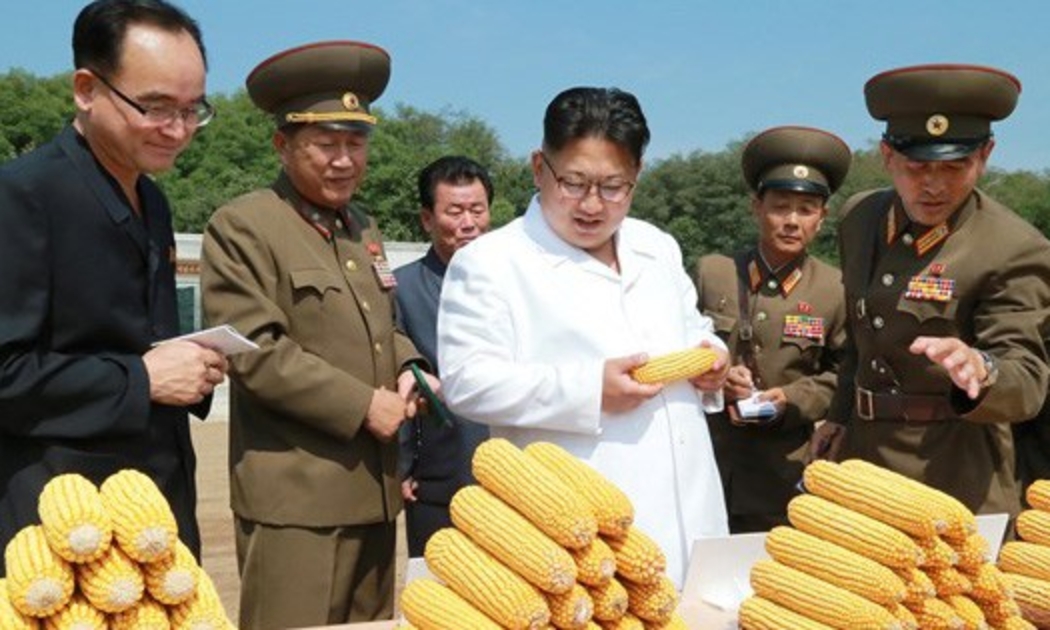 Nhà lãnh đạo Triều Tiên Kim Jong Un (áo trắng) trong một chuyến khảo sát nông trại - Ảnh: KCNA/Reuters.