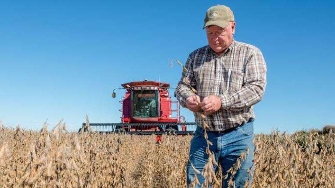 Đậu tương là nông sản xuất khẩu chủ lực của Mỹ.