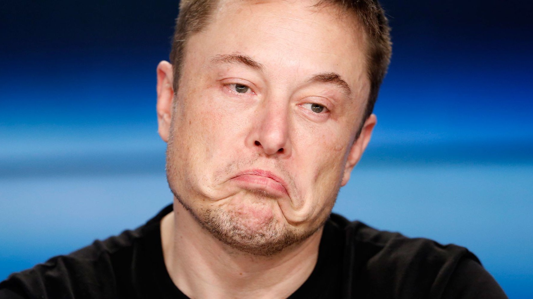 Tổng giám đốc (CEO) Elon Musk của Tesla.