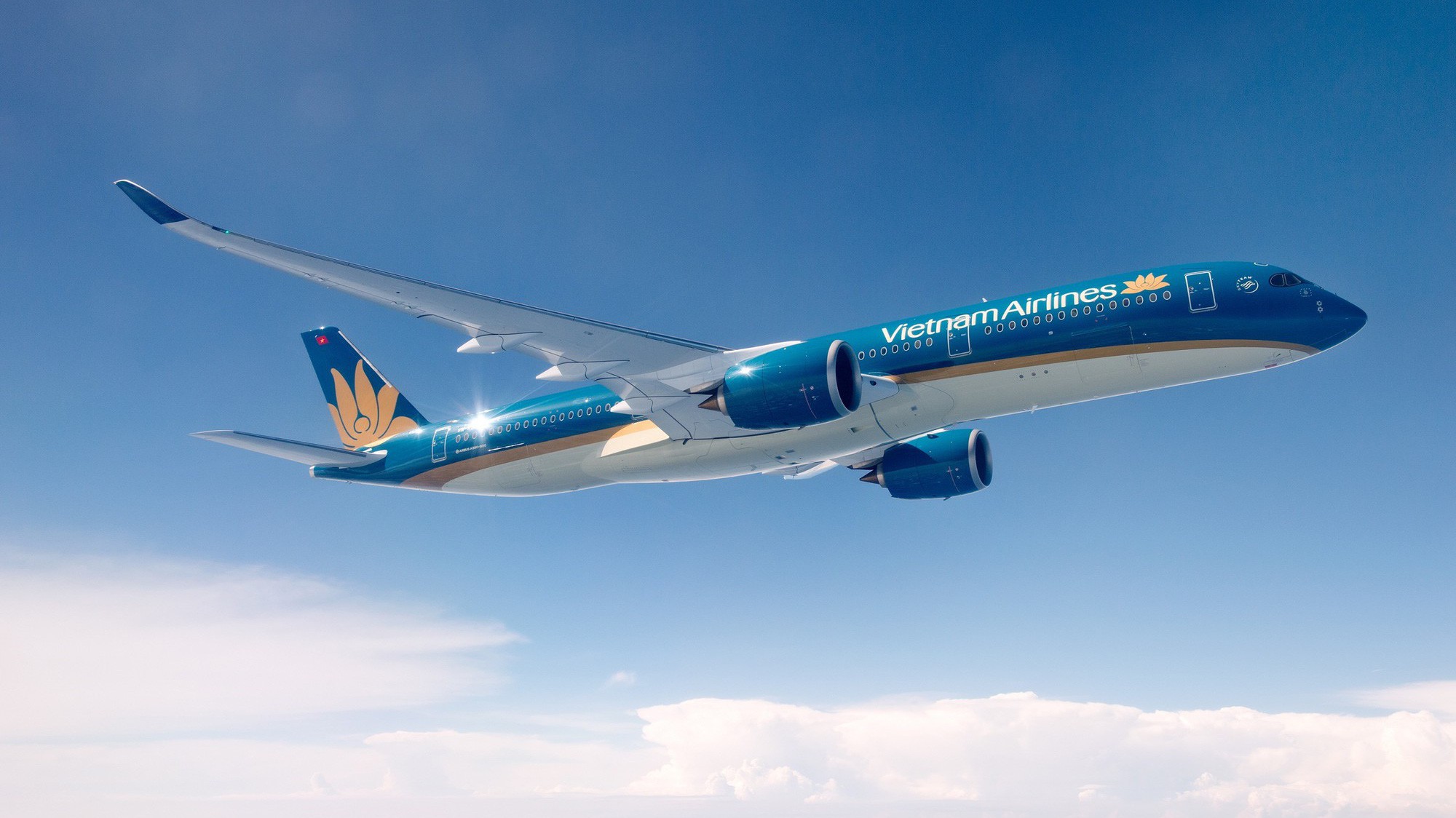 Năm 2018, thương hiệu Vietnam Airlines có giá trị 416 triệu USD, tăng 34% so với năm 2017. 