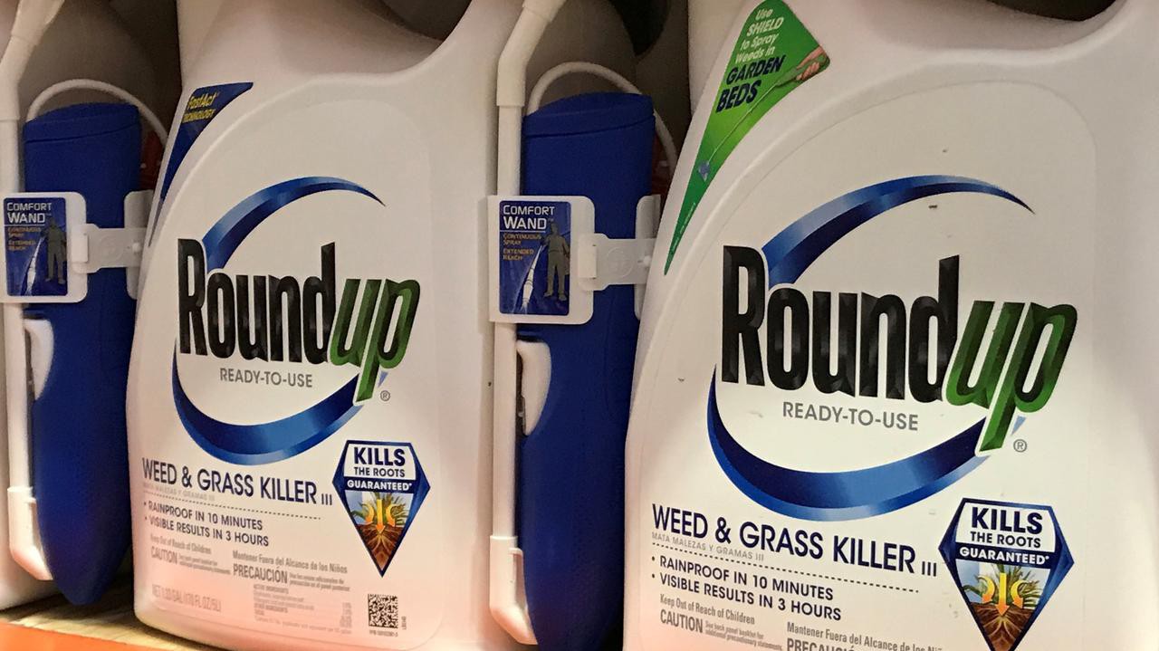 Thuốc trừ cỏ Roundup bày bán trong một siêu thị ở Mỹ - Ảnh: Reuters.
