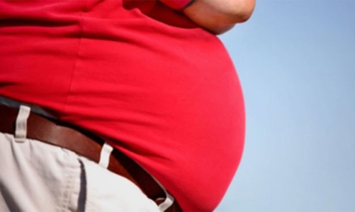 Tỷ lệ người béo phì ở Việt Nam tăng nhanh nhất Đông Nam Á