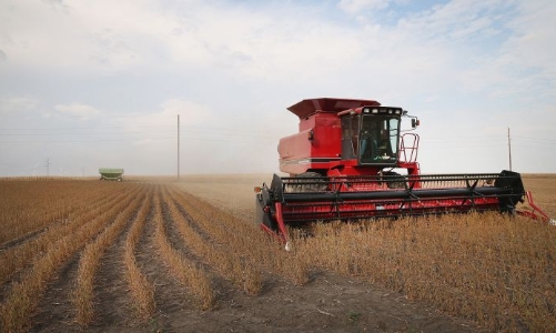 “Trung Quốc miễn thuế trừng phạt 10 triệu tấn đậu tương Mỹ”