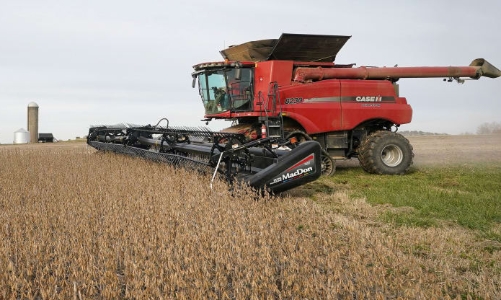 Cố đạt thỏa thuận thương mại, Trung Quốc mua mạnh đậu tương Mỹ