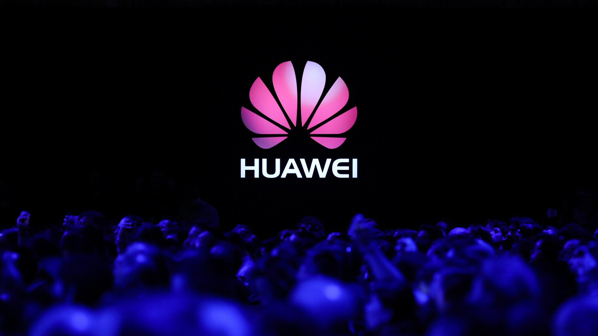 Huawei đang chịu nhiều sức ép từ các biện pháp trừng phạt của Mỹ - Ảnh: The Verge.