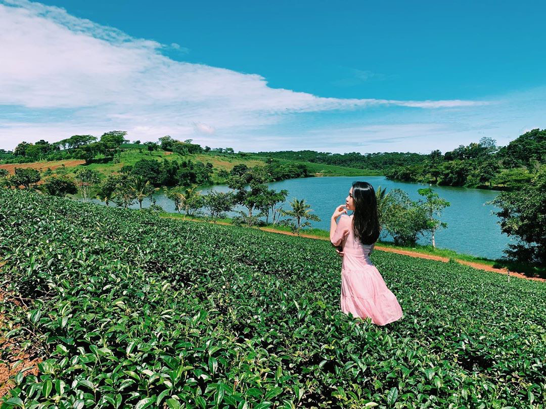 Khung cảnh nên thơ của Bảo Lộc đang thu hút nhà đầu tư.