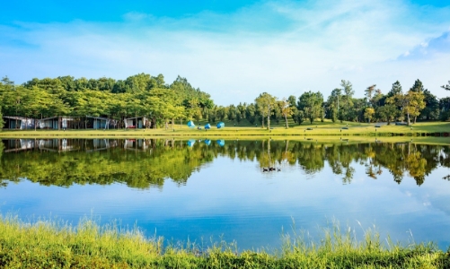 Cuộc thi ảnh: Khoảnh khắc mùa thu Flamingo