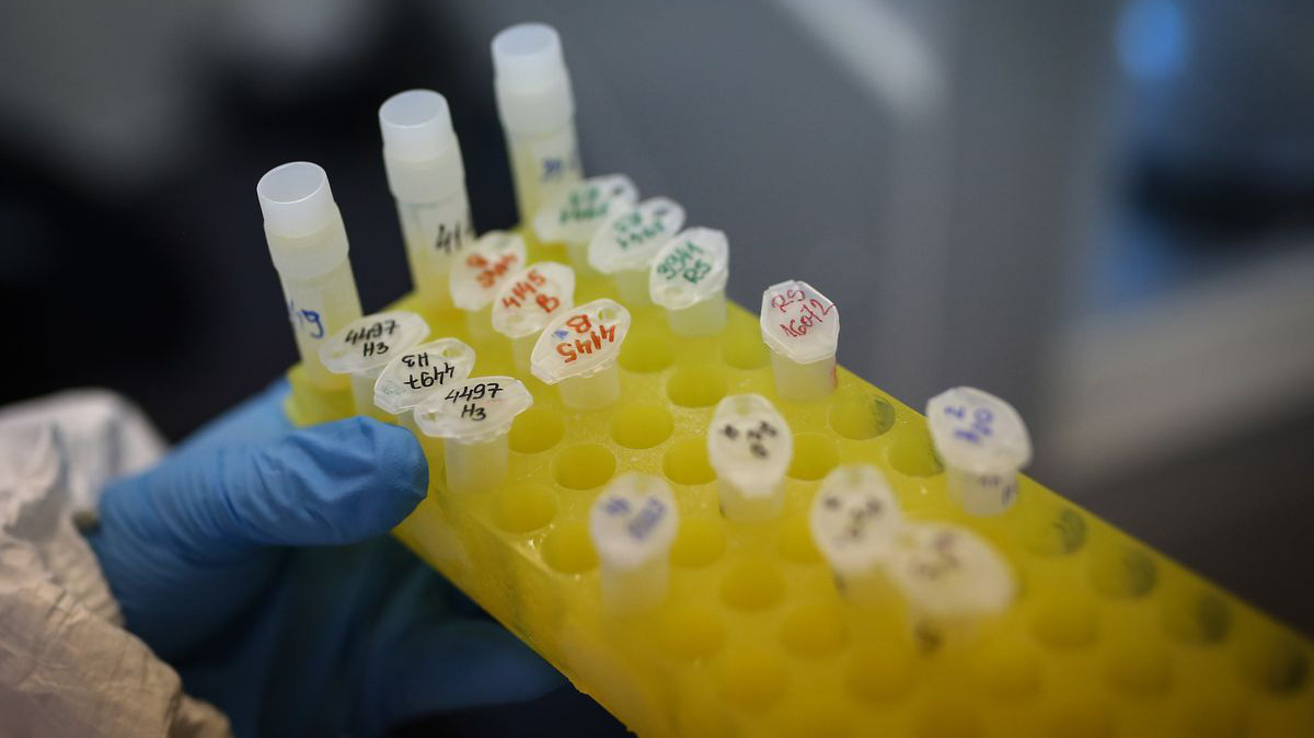 Ảnh minh họa - Ảnh: Bloomberg.