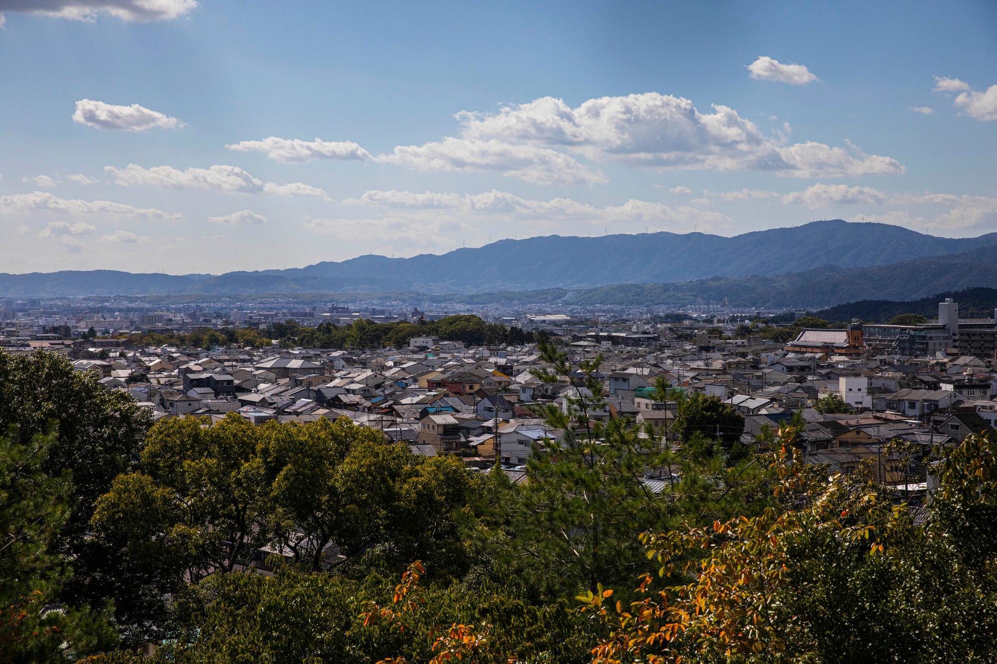 Khung cảnh Kyoto nhìn từ một công viên gần cửa hàng Ichiwa - Ảnh: NYTimes