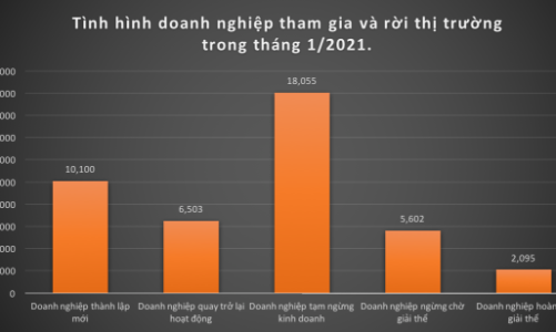 Hơn 10 ngàn doanh nghiệp thành lập mới trong tháng 1