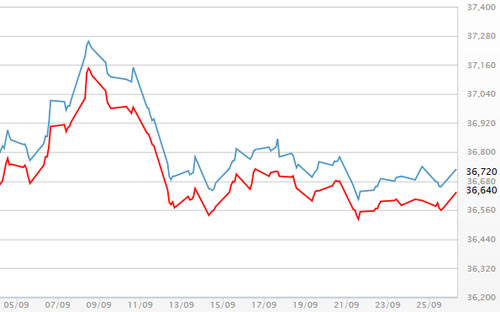 Diễn biến giá vàng SJC tại DOJI - Nguồn: DOJI.<br>