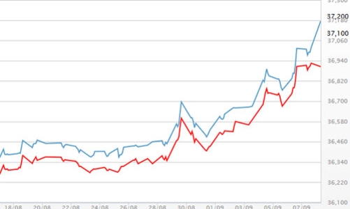 Giá vàng trong nước tăng mạnh theo thế giới