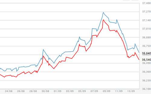 Diễn biến giá vàng SJC tại DOJI - Nguồn: DOJI.<br>