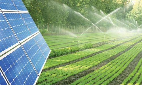 Nông nghiệp kết hợp điện mặt trời: Những đề xuất chính sách