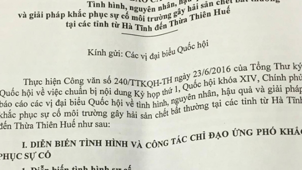 9 dòng kiểm điểm trách nhiệm trong báo cáo riêng về Formosa