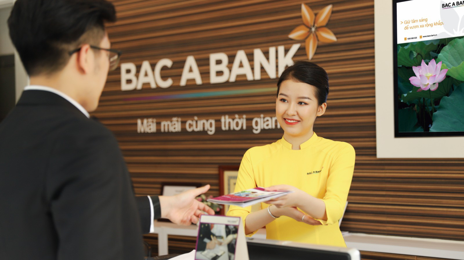 Ngân hàng Thương mại Cổ phần Bắc Á được thành lập từ năm 1994 và chính thức giao dịch cổ phiếu BAB trên thị trường UPCoM từ cuối tháng 12/2017.