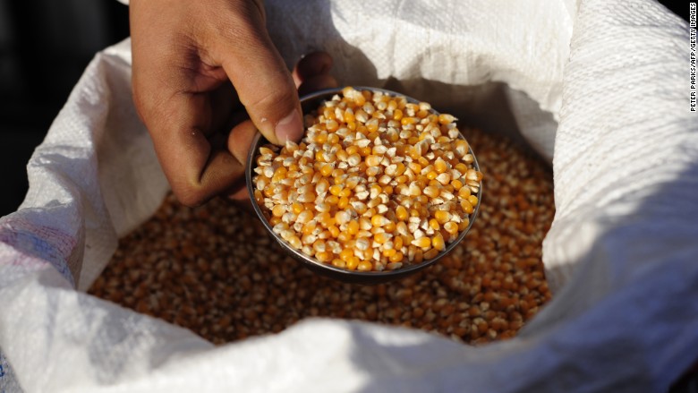 Các chuyên gia nói rằng những cuộc thâu tóm doanh nghiệp ngành nông 
nghiệp là một phần trong kế hoạch của Trung Quốc nhằm tăng cường khả 
năng cung cấp lương thực-thực phẩm cho dân số gần 1,4 tỷ người của nước 
này - Ảnh: Getty/CNN.<br>