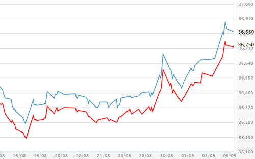 Diễn biến giá vàng SJC tại DOJI - Nguồn: DOJI.<br>