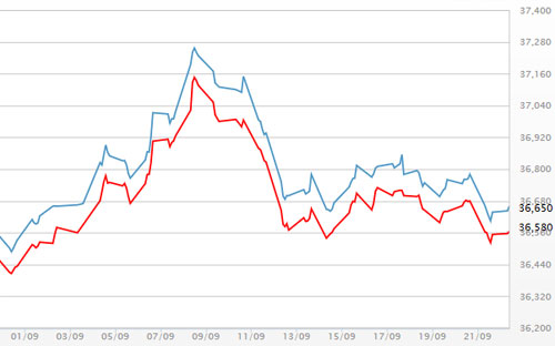 Diễn biến giá vàng SJC tại DOJI - Nguồn: DOJI.<br>