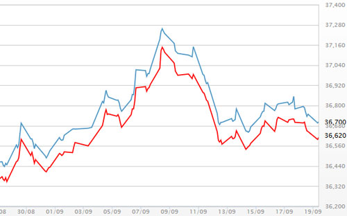 Diễn biến giá vàng SJC tại DOJI - Nguồn: DOJI.<br>