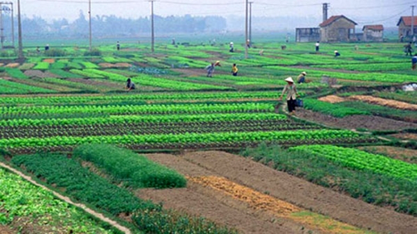 Sửa Luật Đất đai: Bớt ưu tiên Nhà nước