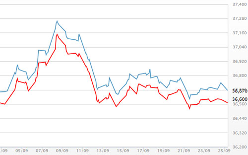Diễn biến giá vàng SJC tại DOJI - Nguồn: DOJI.<br>