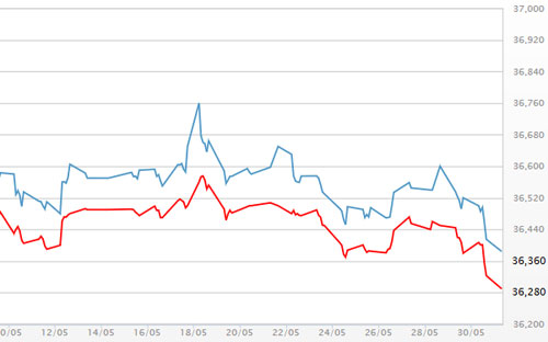 Diễn biến giá vàng SJC tại DOJI - Nguồn: DOJI.<br>