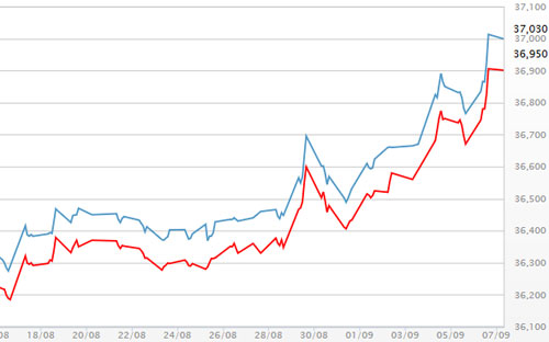 Diễn biến giá vàng SCJ tại DOJI - Nguồn: DOJI.<br>