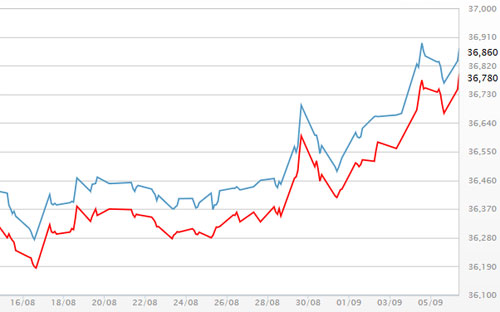 Diễn biến giá vàng SJC tại DOJI - Nguồn: DOJI.<br>