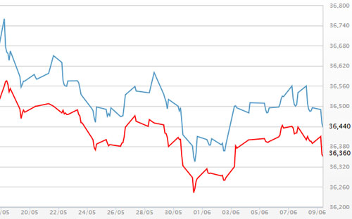 Diễn biến giá vàng SJC tại DOJI - Nguồn: DOJI.<br>