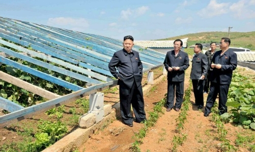 Thiếu lương thực nghiêm trọng, Triều Tiên có thể phải dừng thử vũ khí