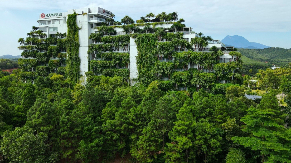 Sắc xanh độc bản kiêu hãnh của Flamingo - Ảnh: Hoàng Giang Huy.