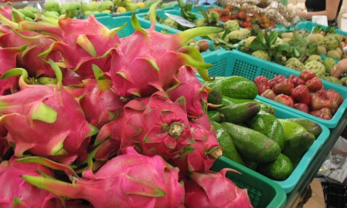 Mở lối thoát nghèo nhìn từ 