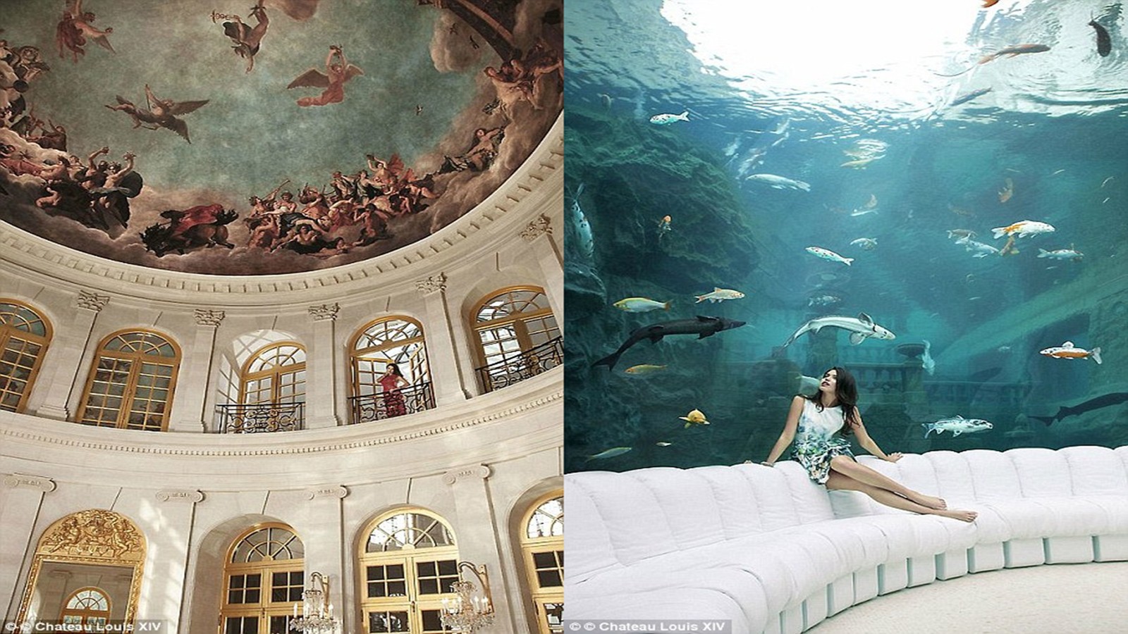 undefined - Ảnh 11.