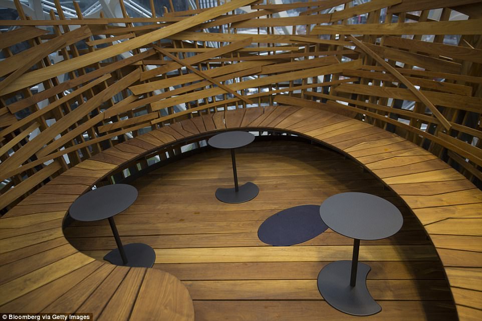 undefined - Ảnh 9.