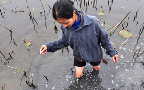 Theo báo cáo của Chính phủ tại phiên họp sáng 13/12, năm 2013, chương 
trình khắc phục ô nhiễm và cải thiện môi trường được giao tổng kinh phí 
là 131 tỷ đồng.