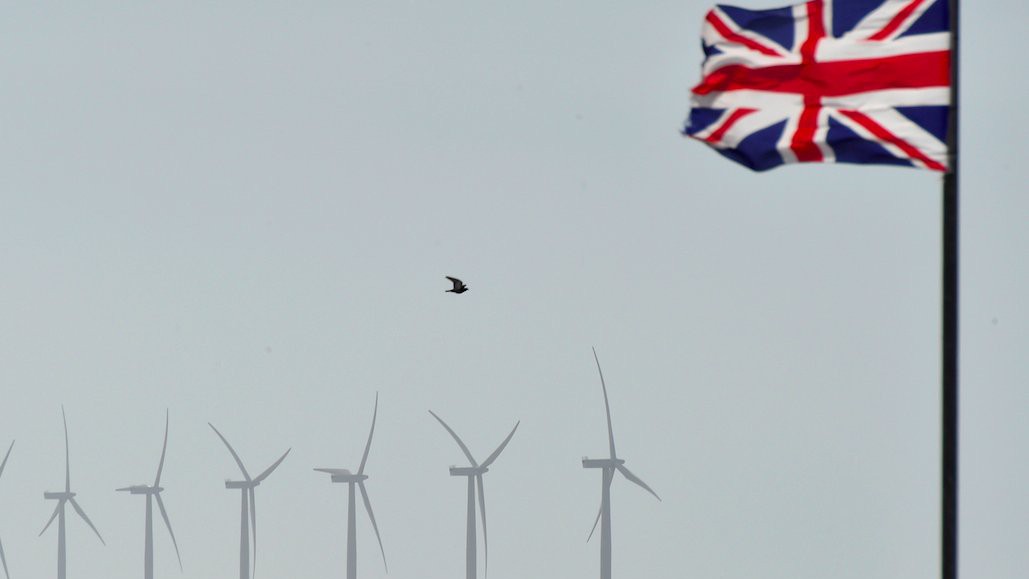 undefined - Ảnh 11.