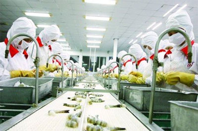 Chế biến tôm xuất khẩu tại một doanh nghiệp. Nhu cầu tiêu thụ thủy sản của một số nước châu Phi là rất lớn, nhưng doanh nghiệp Việt Nam không đáp ứng được - Ảnh: Lê Toàn.