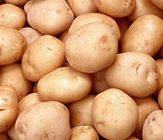 Ngành chế biến khoai tây ở Việt Nam tuy khởi đầu muộn, nhưng lại có tốc độ phát triển khá nhanh, mở ra hướng đi cho xuất khẩu khoai tây.