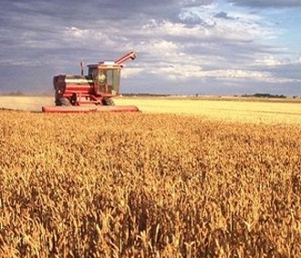 Chính nhờ các khoản trợ cấp của Liên bang mà nhiều trang trại ở Mỹ đã chuyển đổi mô hình từ trang trại gia đình quy mô nhỏ truyền thống thành tập đoàn nông nghiệp trang bị công nghệ hiện đại, làm biến đổi bộ mặt nông thôn.