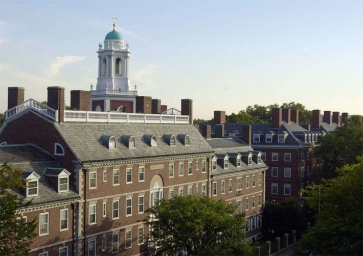 undefined - Ảnh 12.