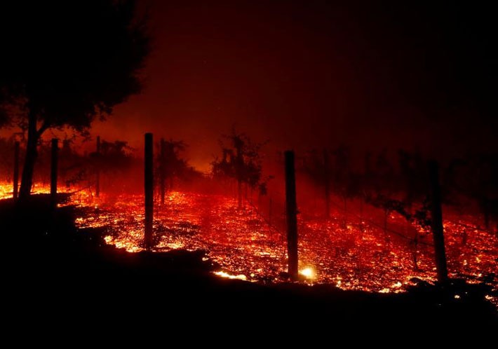 Cận cảnh vụ cháy rừng lịch sử khiến ít nhất 31 người thiệt mạng ở California - Ảnh 12.