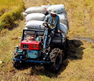 Các tổ chức, cá nhân được hỗ trợ lãi suất 4% với mức vay tối đa 100% giá trị hàng hóa nhưng không quá 7 triệu đồng/ha đối với vật tư sản xuất nông nghiệp.