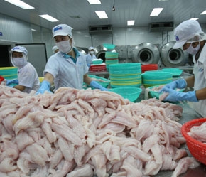 Chế biến thủy sản xuất khẩu.