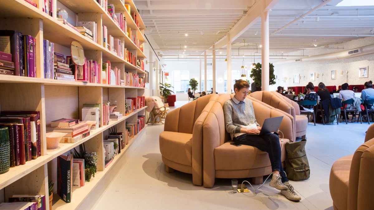 undefined - Ảnh 14.