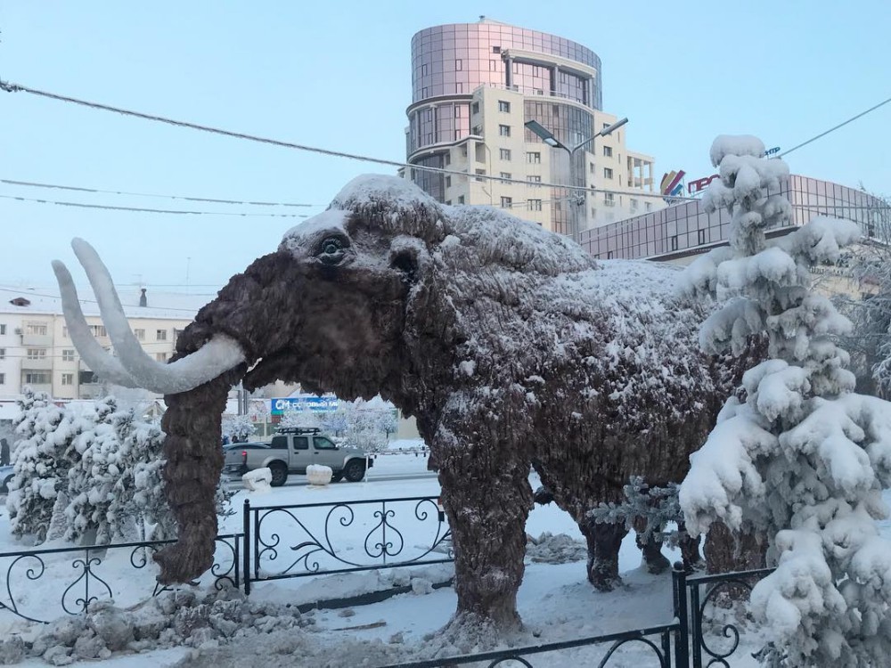 undefined - Ảnh 7.